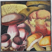 432 Mushroom Collage #1
