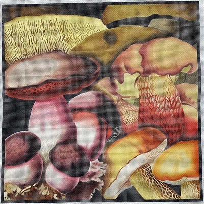 432 Mushroom Collage #1