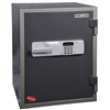 Hollon Safes HDS-750E Data Safe