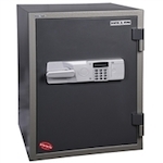 Hollon Safes HDS-750E Data Safe