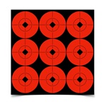 Birchwood Casey Self-Adhesive Target 2" Spots 10 Pack