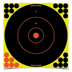 Birchwood Casey Shoot-N-C 12" Round Target  12Pack