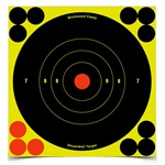 Birchwood Casey Shoot-N-C 6" Round Target 12Pack