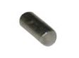 231048 Briggs Pull Rope Pin