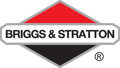 Briggs 291675S Oil Seal