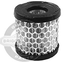 Briggs & Stratton 392308S Air Filter