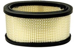 R2778 Air Filter Replaces Briggs & Stratton 393725