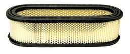 R2806 Air Filter Replaces Briggs & Stratton 394019S