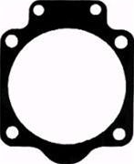 R8136 Metering Gasket Replaces Zama 0016005