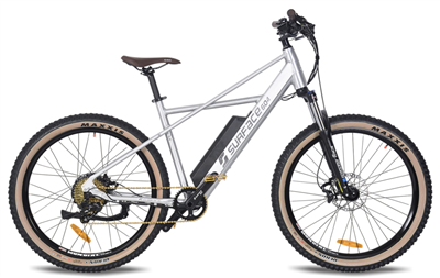 QUAD-Surface604 Electric Bike