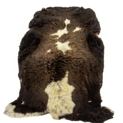 Huge Short Wool Dark Brown w White Markings Brown Sheepskin