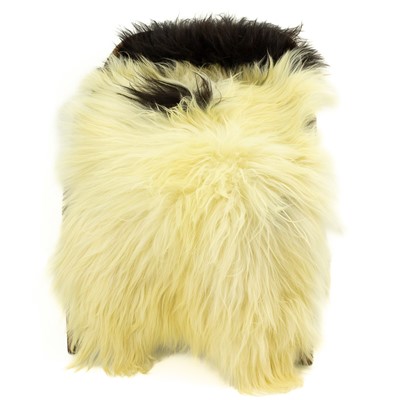 White w Black Piebauld Icelandic Sheepskin