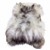 White Gray Black Mix Icelandic Icelandic Sheepskin