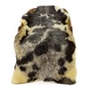 Short Wool Black with Gray and White Pattern Gray Sheepskin