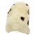 Ivory White Suffolk w Dot Ivory White Sheepskin