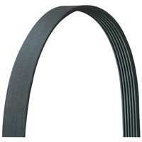 <h3>6 Groove Serpentine Belt</h3>