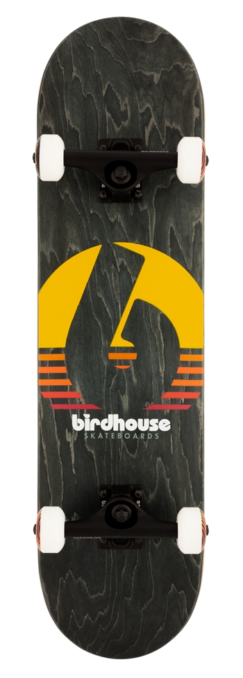 skateboard,skate,birdhouse,complete,hawk