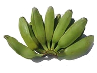 The Burro banana is occasionally sold under the name chunky banana as it is stubbier and more of a square shape than the common banana. Its peel is a rich, vivid, dark green that turns deep yellow with characteristic black spots when ripe.