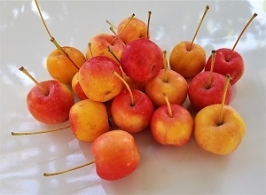 Crabapples have a very astringent, tart taste, and are usually unpleasant to eat fresh. However, they make excellent jelly, jam, and sauce, and have traditionally been used in cider. They pair well with strong blue cheeses, such as English Stilton.