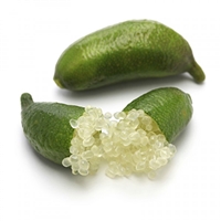 finger limes, where can i buy finger limes, finger limes taste, finger lime trees for sale in california, finger limes tree, finger limes seeds, finger limes nyc, how to grow finger limes, finger limes recipe, Finger lime, Buy Finger lime, Fresh Finger