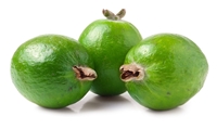 Feijoa is a very rich source of soluble dietary fiber which makes it a good bulk laxative. The fiber content helps protect the colon mucous membrane by decreasing exposure time to toxins as well as binding to cancer-causing chemicals in the colon.