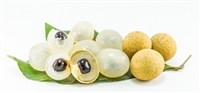 Longan is a wonderful and delicious tonic fruit used by the Chinese as a blood tonic, to nurture the heart, and to add luster and beauty to the skin. It is believed among the Chinese people that Longan is also a fantastic sex tonic.