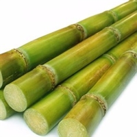 Exotic Fruit Market offers fresh sugar cane grown at our farm in the State of California. No Chemicals and No Fertilizers. Our Sugarcane is available all year long. Our sugarcane is freshly cut from the field.