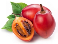 Tamarillo Fruit is relative of the potato, tomato, eggplant and capsicum pepper. The tree tomato is native to Central and South America. Tamarillo Fruit is a source of Vitamin A, B6 and C.