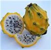 Yellow Dragon fruit is a great source of antioxidants, is rich in important nutrients, and contains lots of different vitamins essential to good health. Even better than that, itâ€™s got a great taste.