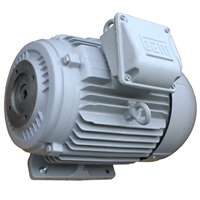 10 HP WEG MOTOR