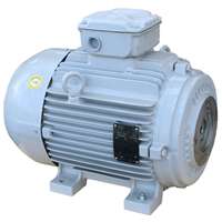 20 HP WEG MOTOR