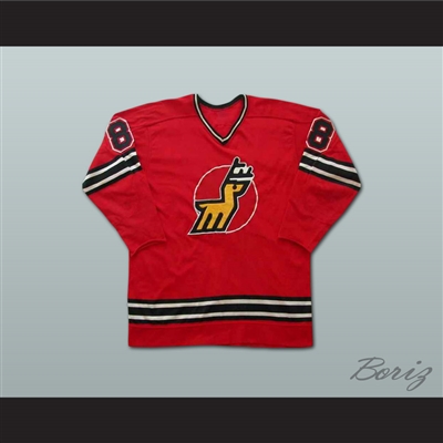 Danny Gruen Michigan Stags Hockey Jersey