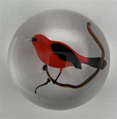 Rick Ayotte 1979 Male Scarlet Tanager