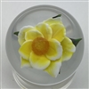 1990 Rick Ayotte Miniature Yellow Rose