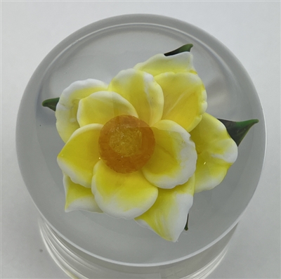 1990 Rick Ayotte Miniature Yellow Rose