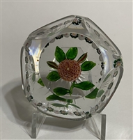 Antique Baccarat Camomile