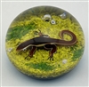 1973 Baccarat Salamander