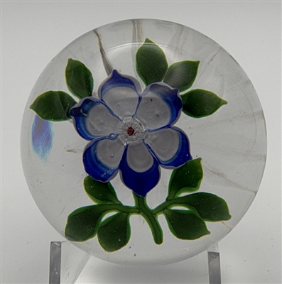 Antique Baccarat AnÃ©mone Paperweight