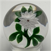 Antique Baccarat White Double Clematis Paperweight