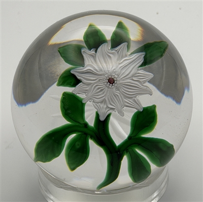 Antique Baccarat White Double Clematis Paperweight