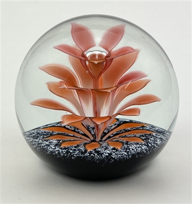 1981 Caithness Peach Floral Fountain Glass Paperweight