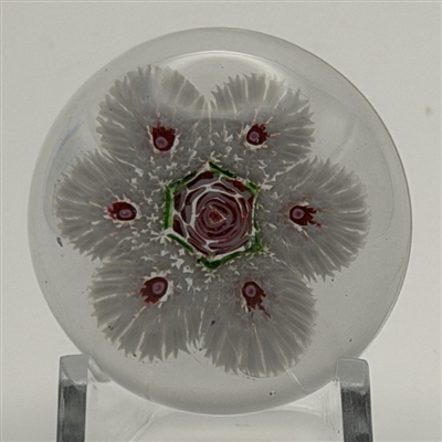 Antique Clichy Millefiori Paperweight