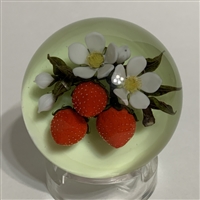 David Graeber Strawberry Paperweight