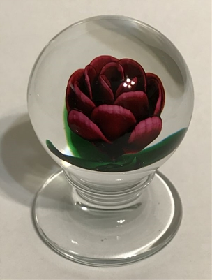Kaziun Red Crimp Rose