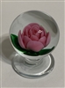 Kaziun Pink Crimp Rose