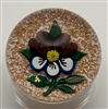 Charles Kaziun Pansy Paperweight