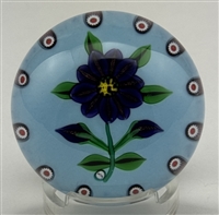 2009 William Manson Double Clematis