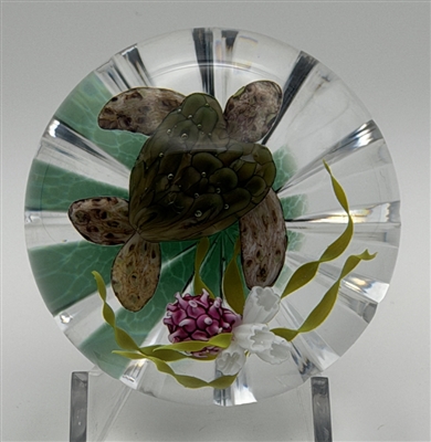 2016 Ken Rosenfeld Sea Turtle Paperweight