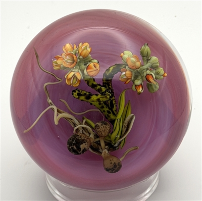 1989 Stankard Alium Paperweight
