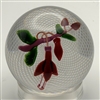 Antique St. Louis Fuchsia Paperweight